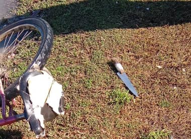 Asaltantes armados que robaron en local comercial de Molina quedaron en libertad