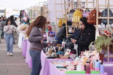 Expo Market Maule del Programa Jefas de Hogar de Constitución tendrá su cuarta versión