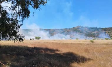 Incendio forestal en Hualañé: CONAF y Bomberos trabajan para controlar las llamas