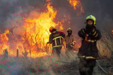 Conaf activó Botón Rojo en 90 comunas de Chile ante riesgo de incendios forestales