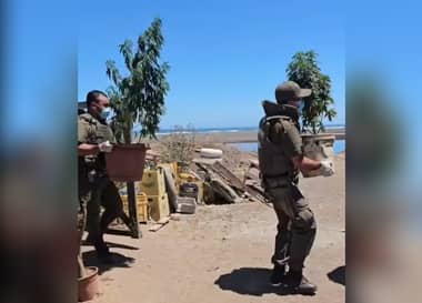 Carabineros detuvo a hombre por cultivo ilegal de marihuana en Iloca