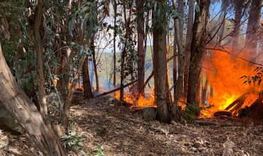 Incendio forestal moviliza a Bomberos y CONAF en sector La Unión de Romeral