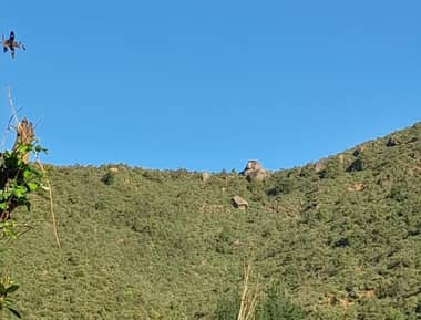 Intensa búsqueda de jóvenes talagantinos que se perdieron en cerros de Upeo