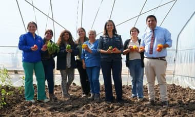 Ministra (s) de Agricultura y alcaldesa de Rauco entregan invernaderos a productoras locales