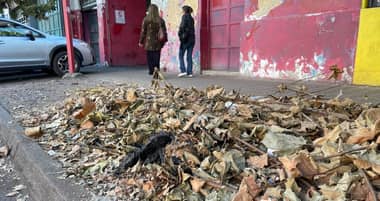 Dirigente vecinal exige sanciones por acumulación de desechos de podas en Curicó