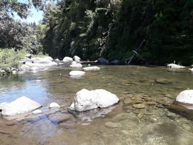 Contraloría detecta construcciones irregulares e instruye investigación ante posible contaminación por aguas servidas en Estero El Toro