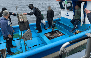 Sernapesca Maule incautó más de 21 toneladas de jibia y cita a 20 embarcaciones por pesca ilegal