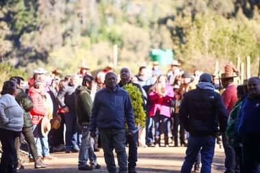 Vichuquén celebró con devoción a la Virgen del Carmen en una jornada llena de fe y tradición