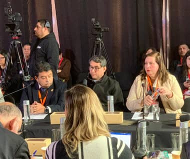 Senadora Vodanovic solicitó incluir a Constitución en Plan Calles Sin Violencia