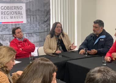 Senadora Vodanovic propone declarar Emergencia Energética en el Maule