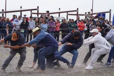 Éxito total en las Fiestas Patrias de Licantén: Ramadas vivieron récord de asistencia