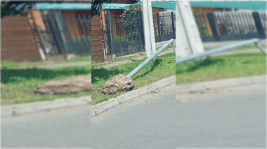 Vandalismo a cámaras de seguridad preocupa a vecinos y autoridades de Curicó