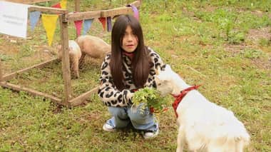 El Granja Fest se realizará este domingo en Molina