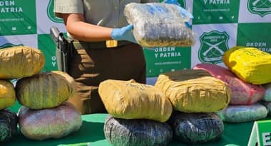 Contraloría detecta irregularidades en proceso de destrucción de droga incautada