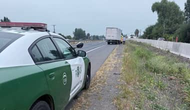 GPS permite a Carabineros recuperar camión robado en Talca e interceptarlo en Teno