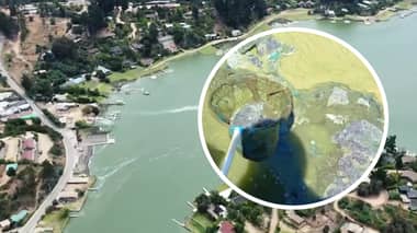 Crisis ecológica y económica: "Los arriendos se fueron al suelo" en Vichuquén tras cierre del lago por Cianobacterias