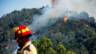 Ataque a Bomberos en Maule genera indignación tras daños a camión y agresión a voluntarios