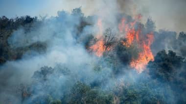 Incendios forestales activos afectan más de 9.500 hectáreas en cinco regiones del país