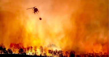 Hombre detenido por incendio forestal en Maule queda en libertad al no haber antecedentes suficientes