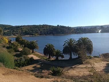 Pese a contaminación: Consejo Regional fija acceso turístico a la playa Las Sirenas del Lago Vichuquén
