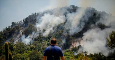 Alerta Roja en Machalí por incendio forestal con riesgo para reserva natural