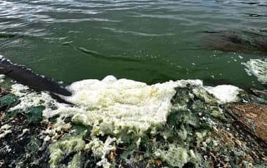 Seremi de Salud declara zona de riesgo sanitario al Lago Vichuquén