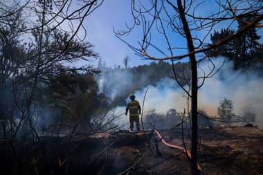 Alcalde de Maule afirma que incendio forestal está controlado descartando viviendas afectadas