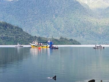 Armada confirma quinta víctima fatal por hundimiento de embarcación en Los Lagos