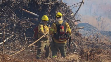 Balance de incendios en Curicó: 94 siniestros y 270 hectáreas afectadas en lo que va de temporada