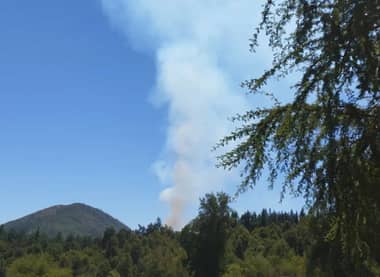 Incendio forestal consume 4 hectáreas en Molina