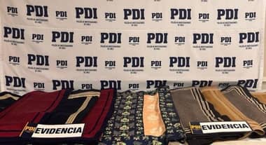 Recuperan millonario botín de mantas corraleras robadas en Villa Alegre: Sujeto intentaba venderlas en Talca