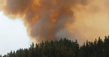 Cauquenes bajo Alerta Roja: Aviones tanqueros fueron claves para contener el incendio “San Pedro” que ya suma 414 hectáreas