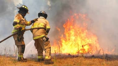 CONAF entregó balance de incendios forestales en la provincia de Curicó y llamó a reforzar prevención por altas temperaturas
