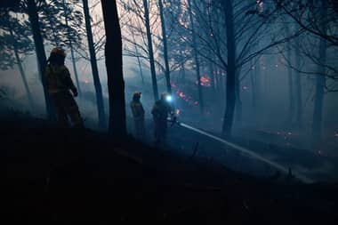Cuatro incendios forestales activos: Alertas rojas se mantienen en Linares y Vichuquén
