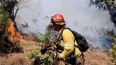 CONAF declara contenido incendio forestal Cajón de Pejerrey en Linares