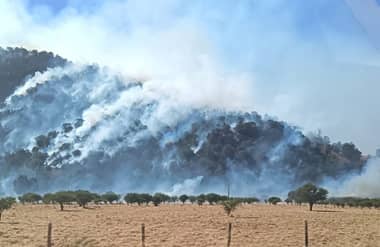 Amplio despliegue aéreo y terrestre combate incendio forestal "El Peral" en Sagrada Familia