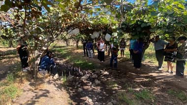 A un año del crimen de Aníbal Figueroa en Lontué: Familia realizó velatón y acusa estancamiento judicial