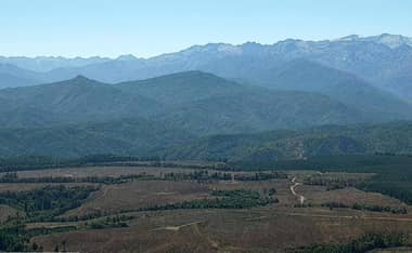Conaf declara "contenido" el incendio forestal en Cajón de Pejerrey tras consumir más de mil hectáreas en Linares
