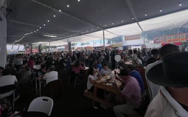 Confirman programación del escenario folclórico para este lunes en la Fiesta de la Vendimia de Curicó