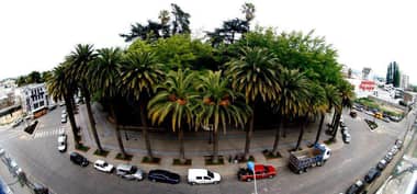 Transparencia Activa: Curicó logra el primer lugar en el Maule