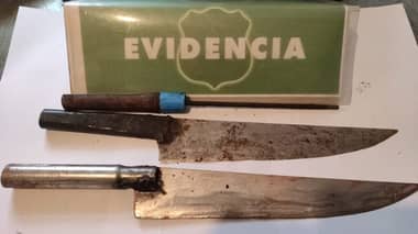 Dejan en libertad a hombre que mató y faenó ilegalmente un cerdo en Los Niches