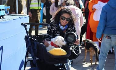 Familias protagonizaron exitosa caminata canina por las calles de Curicó