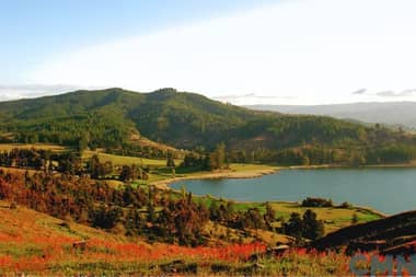 Reserva Nacional Laguna Torca: Guía para visitar el santuario de aves en el Maule