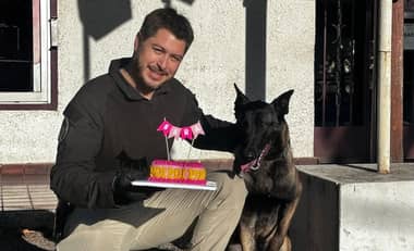 PDI de Curicó celebra el primer año de "Sara", ejemplar canino destacada en la detección de drogas y armamento