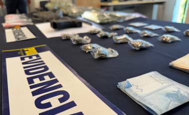 PDI detuvo en flagrancia a un sujeto por microtráfico y cultivo ilícito de cannabis en Linares