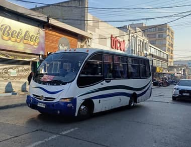 Últimos días: Municipio de Curicó llama a renovar permisos de circulación para vehículos de transporte público y de pasajeros