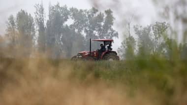 Diputado Muñoz advierte crisis en la agricultura alertando sobre riesgo en la seguridad alimentaria del país