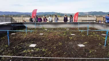 Millonaria inversión optimiza planta de tratamiento y sistemas de agua potable rural en Licantén