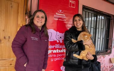 Rauco inicia masivo operativo de esterilización gratuita que beneficiará a 700 perros y gatos
