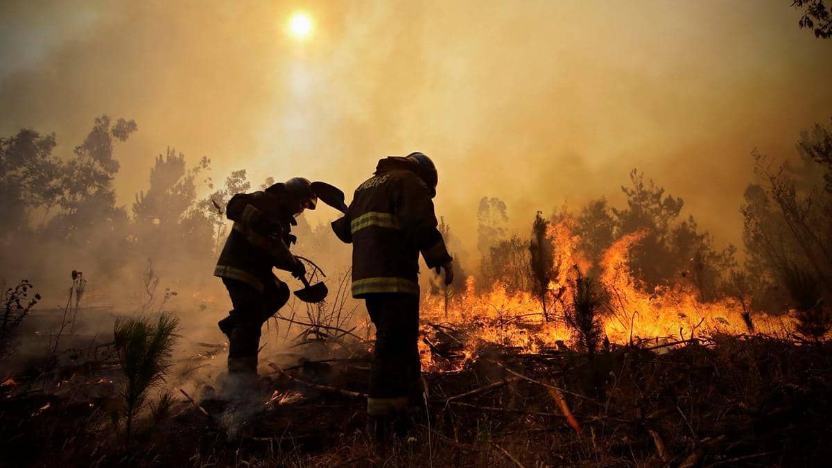 Fiscalía formaliza a personas de iniciaron fuego en Curicó y Vilches, pese a prohibición de la CONAF